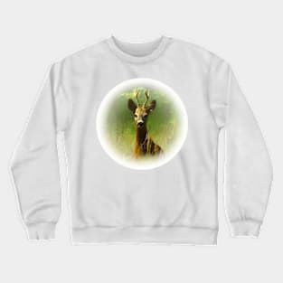 Roebuck Crewneck Sweatshirt